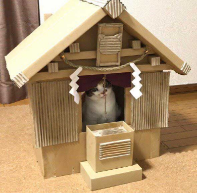 猫 御神体 ダンボール神社 母