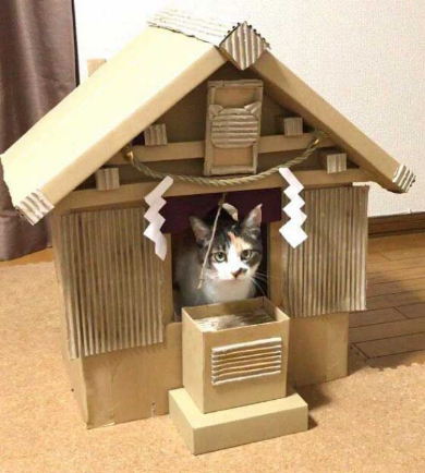 猫神社