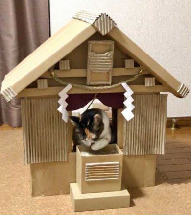 猫 御神体 ダンボール神社 母