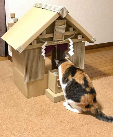 猫 御神体 ダンボール神社 母