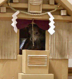 猫 御神体 ダンボール神社 母