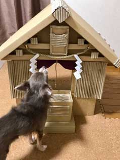猫 御神体 ダンボール神社 母