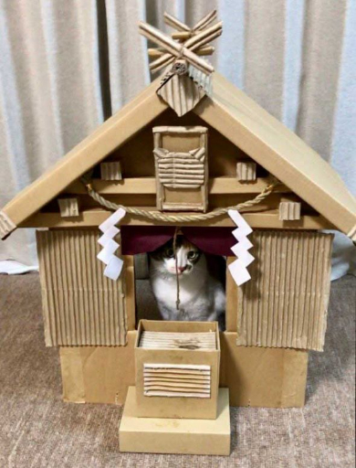 猫 御神体 ダンボール神社 母