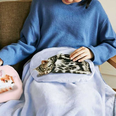 猫 ひざの上 ゴロゴロ クッションブランケット フェリシモ猫部
