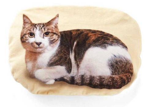 猫 ひざの上 ゴロゴロ クッションブランケット フェリシモ猫部