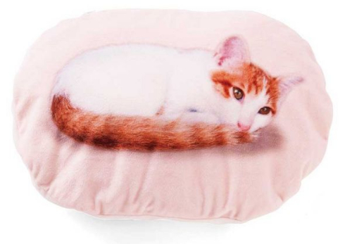 猫 ひざの上 ゴロゴロ クッションブランケット フェリシモ猫部