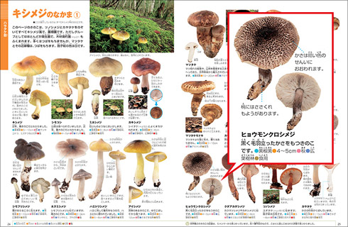 キノコ 図鑑 回収