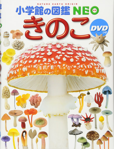 キノコ 図鑑 回収