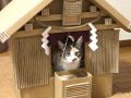 猫ちゃんが御神体の「ダンボール神社」に参拝希望の声上がる　「御神体かわいすぎる」「御利益ありそう」