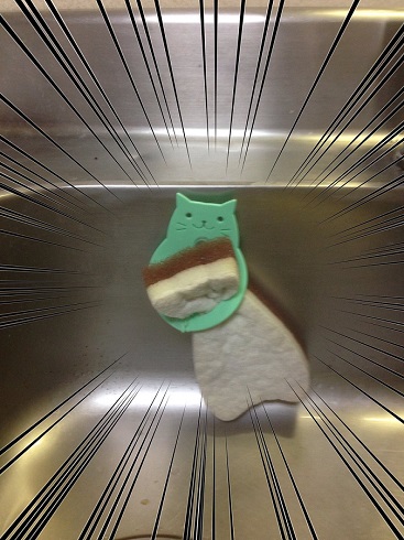 猫スポンジ