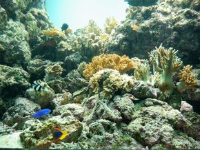 鹿児島　水族館　かごしま水族館　沈黙の海　何もない　水槽　怖い　考える
