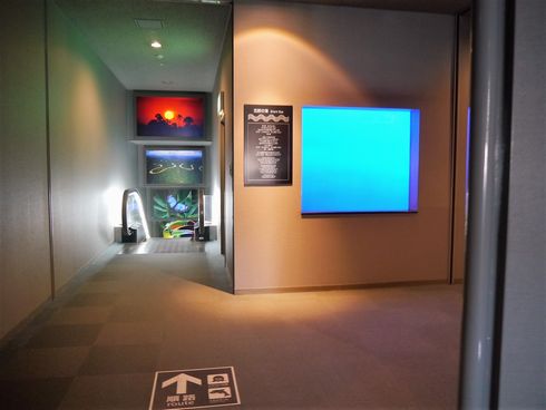 鹿児島　水族館　かごしま水族館　沈黙の海　何もない　水槽　怖い　考える