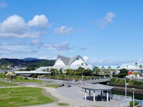 鹿児島　水族館　かごしま水族館　沈黙の海　何もない　水槽　怖い　考える