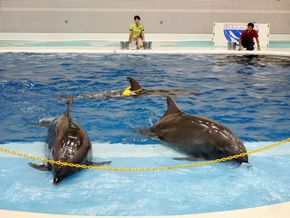 鹿児島　水族館　かごしま水族館　沈黙の海　何もない　水槽　怖い　考える