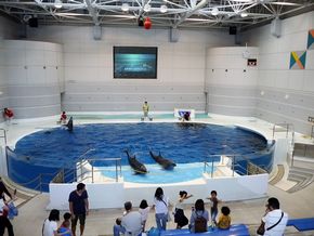 鹿児島　水族館　かごしま水族館　沈黙の海　何もない　水槽　怖い　考える