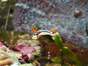 鹿児島　水族館　かごしま水族館　沈黙の海　何もない　水槽　怖い　考える