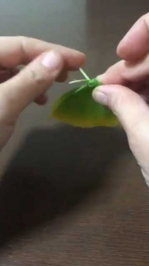 イチョウの葉 蝶 作り方 落ち葉
