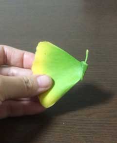 イチョウの葉 蝶 作り方 落ち葉