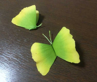 イチョウの葉 蝶 作り方 落ち葉