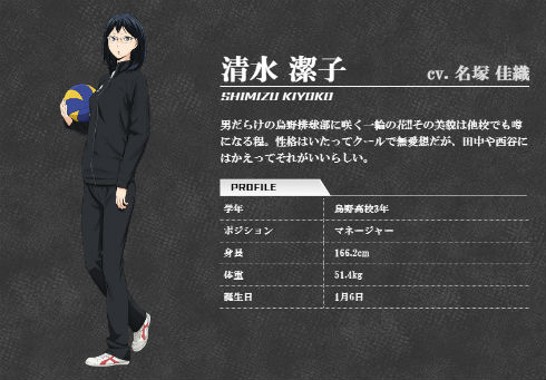 『ハイキュー!!』清水潔子