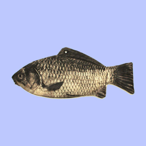 マルチケースフナ