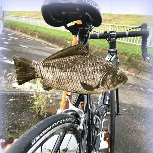 マルチケースフナ自転車使用