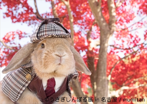 うさぎしんぼる展 in 名古屋