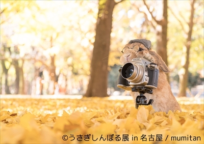うさぎしんぼる展 in 名古屋