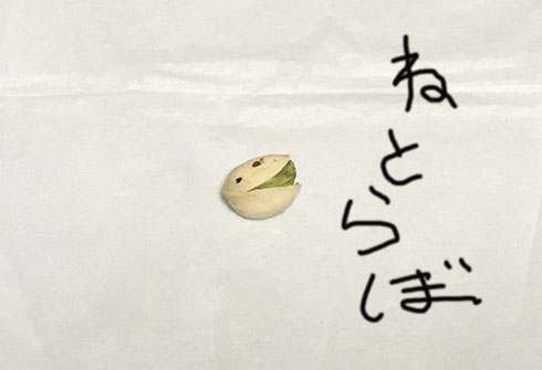 あたまのわるい？ピスタチオ