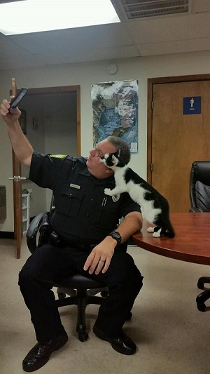警察署猫