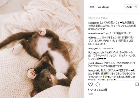 ウニちゃん　ローラ
