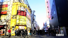 アキバ店