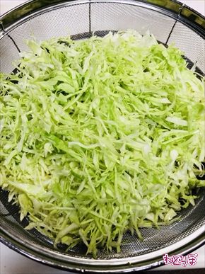 ねとらぼ ねとめし キャベツ 無限キャベツ しらす レシピ 料理研究家