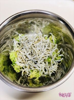 ねとらぼ ねとめし キャベツ 無限キャベツ しらす レシピ 料理研究家