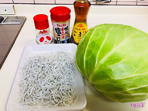 ねとらぼ ねとめし キャベツ 無限キャベツ しらす レシピ 料理研究家