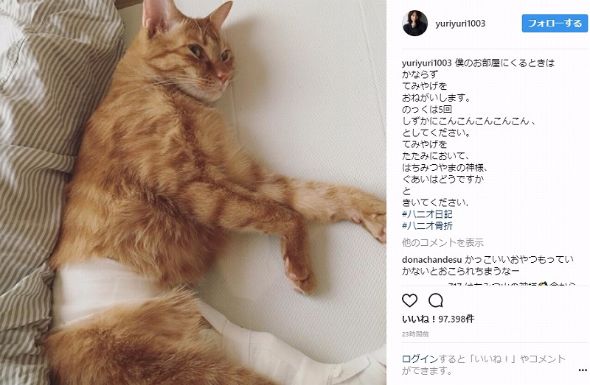 石田ゆり子 石田ひかり 姉妹 ハニオ 骨折 Instagram