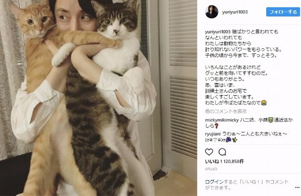 石田ゆり子 石田ひかり 姉妹 ハニオ 骨折 Instagram