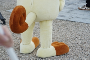 佐賀 佐賀プライズ ポケモン ポケットモンスター ロケット団 ニャース ムサシ コジロウ