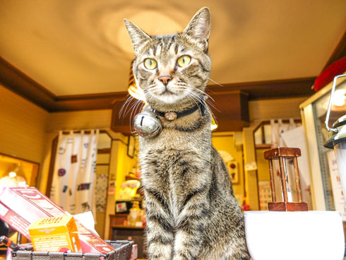 喜楽湯 川口 銭湯 交互浴