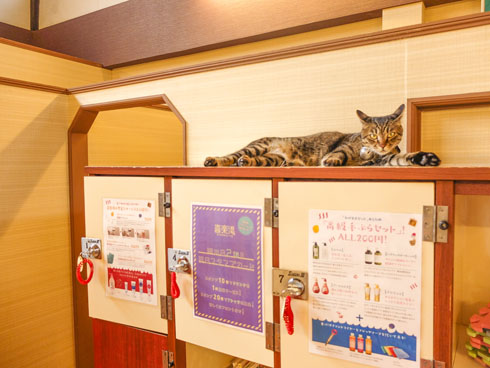 喜楽湯 川口 銭湯 交互浴