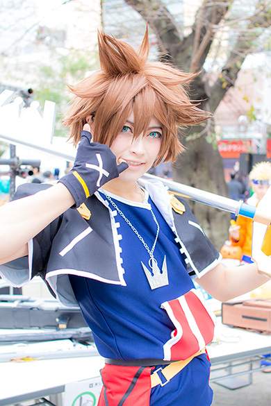 池ハロ キングダムハーツ ソラ 華月