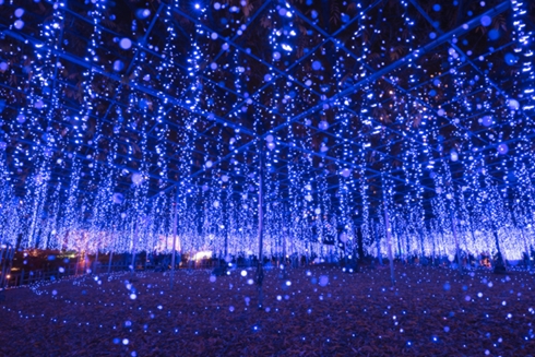 イルミネーション 東京 