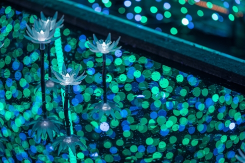 イルミネーション 東京 