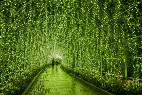 イルミネーション 東京 