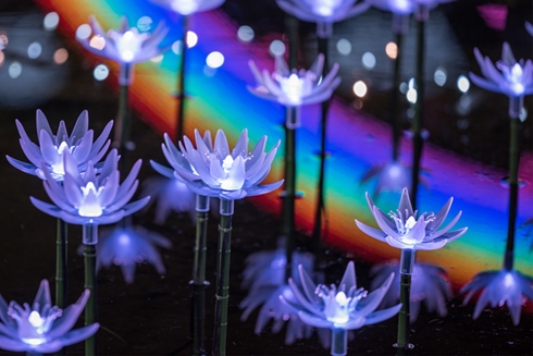 イルミネーション 東京 