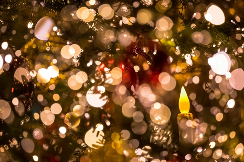 イルミネーション 東京 