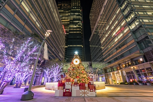 イルミネーション 東京 