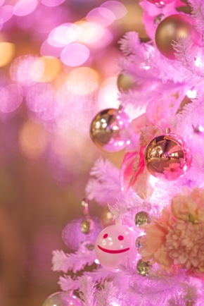 イルミネーション 東京 