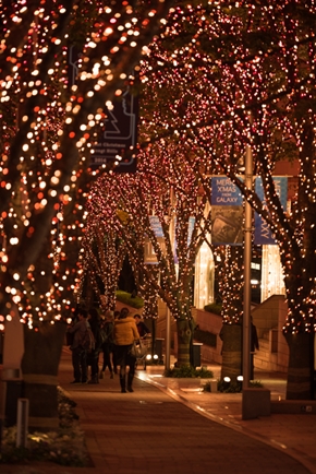 イルミネーション 東京 