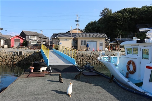 「猫の島」台風で衆院選投票できず　13日連続欠航で人間の食料が不足する事態に